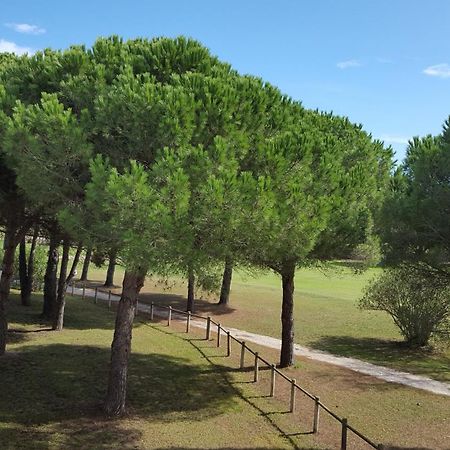 Vert Paradis - Vue Apaisante Sur Golf, Pins Parasols, 2E Etage - 80 M2 Dont Terrasse Avec Pergola, 2 Chambres, 3Et Iles, 3 Clim, Wifi - Piscine, Parking Et Park A Velos, Ascenseur - En Option Linge, Menage - Pistes Cyclables, Mer A Proximite سان سيبريان المظهر الخارجي الصورة