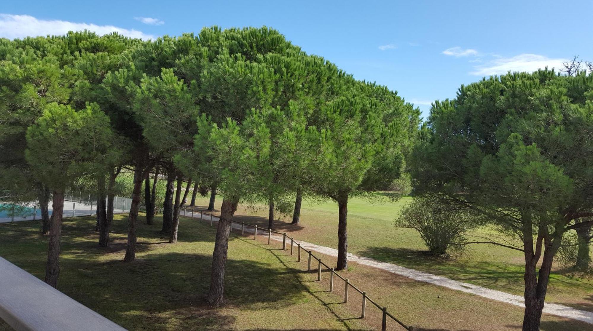 Vert Paradis - Vue Apaisante Sur Golf, Pins Parasols, 2E Etage - 80 M2 Dont Terrasse Avec Pergola, 2 Chambres, 3Et Iles, 3 Clim, Wifi - Piscine, Parking Et Park A Velos, Ascenseur - En Option Linge, Menage - Pistes Cyclables, Mer A Proximite سان سيبريان المظهر الخارجي الصورة